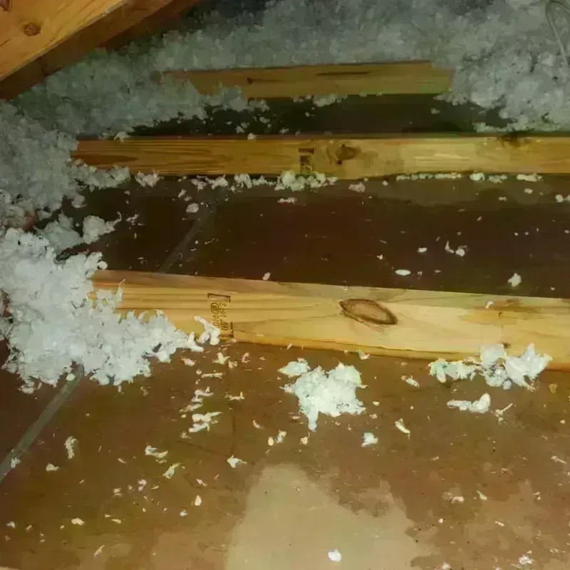 Attic Water Damage in Sumiton, AL